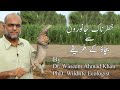 How to Avoid Dangerous Animals By Dr, Waseem Ahmad Khan ( Wildlife Ecologist)