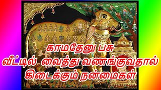 Kamadhenu| Gomatha | காமதேனு பசு | Kamadhenu Prayer | God Temple View | Kamadhenu God | நன்மைகள்