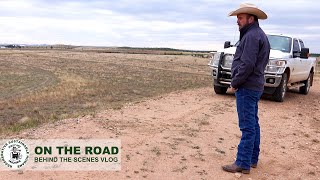 Texas Bison Rancher tour a bison ranch in Texas: Caprock Canyon Bison Company