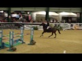 little miss boss qualifying hoys fox 2013