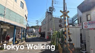 Tokyo Walking along Minamidaira in Hachioji area 4K