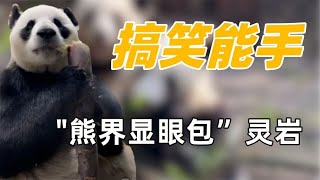 “搞笑能手”灵岩：在领导面前卖力表演，洗澡时唱歌声音像拖拉机！【追娱秀场】