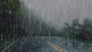 Pluie relaxante pour dormir - Bruit de la pluie sans tonnerre dans la forêt brumeuse - ASMR