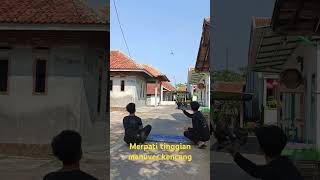 Balap merpati tinggian manuver super kencang merpati over cc...