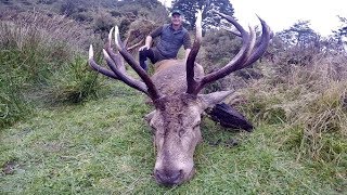 #waikarimoana Hunting Red deer with a 270 Win in the roar in New Zealand part 123