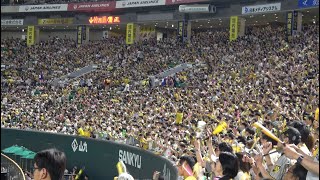 PayPayドームが甲子園化📣福岡今年初のチャンスわっしょいに阪神ファン大興奮🐯2024.6.15⚾️ソフトバンクホークス対阪神タイガース