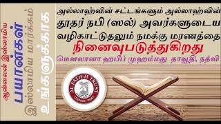 உங்கள் மனைவிமார்கள் சொர்க்கத்தின் ஹூருல்ஈன் பெண்களை விட சிறந்தவர்கள்