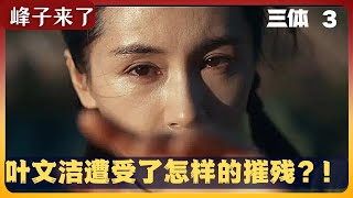 美丽的叶文洁都经历了什么... ...品三体，看峰子。电视剧《三体》9--12集简介以及品评。详细结构这部中国最出色的科幻小说。