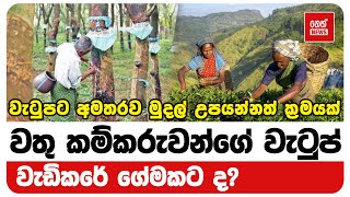 වැටුපට අමතරව මුදල් උපයන්නත් ක්‍රමයක් - වතු කම්කරුවන්ගේ වැටුප් වැඩිකරේ ගේමකට ද? | Neth News