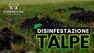 PROBLEMI CON LE TALPE? Chemical Pest Control - Disinfestazione infestanti