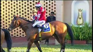 20180711 Scottsville Race 7 won by FALKLAND