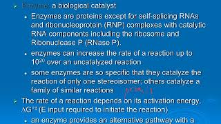 BC1 F17 ch6 pt1 Intro to Enzyme Terminology