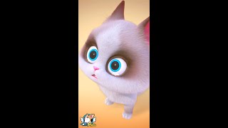 Pet House 🐱🐹 | Things Can't Go Back 回不去了 | Pet House Cartoon Shorts 爆笑宠物店小秘密 (2021) 🐕😺