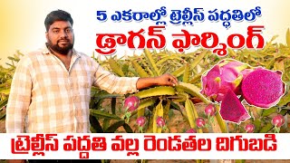 రాయలసీమలో ట్రెల్లీస్ పద్దతిలో డ్రాగన్ సాగు | Trellis and Poll Ring Method Dragon | AgriTech Telugu