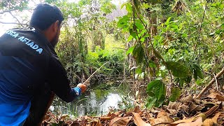 FOI UM ATRÁS DO OUTRO NA VARINHA CAIPIRA! Pescaria de traíra e moroba