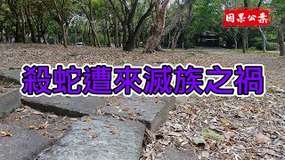 【因果業報公案】殺蛇遭來滅族之禍