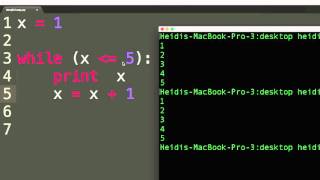Simple while loop (iteration) using Python