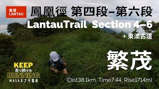 【香港Trailトレイル・Lantauランタウ島】鳳凰徑 Lantau Trail ランタウトレイル 4-6 を巡ってみた！