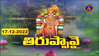 ధనుర్మాసోత్సవం || తిరుప్పావై || Dhanurmasotsavam || Tiruppavai || Tirumala || 17-12-2022 || SVBC TTD