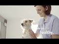 Happy Dog | Home of healthy petfood