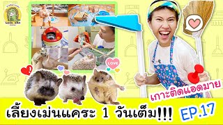 [EP.17] เกาะติดแอดมายกับภารกิจเลี้ยงเม่นแคระ 1 วันเต็ม!! [สารพันความเม่น]