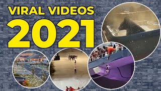 Top 5 Viral Videos of 2021