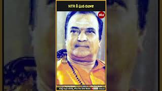 NTR కి ఘన నివాళి | #ntr #srntr #ntrghat #ntrbirthday #tdp #birdfilmy