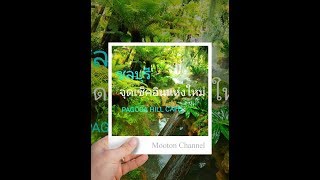 EP.1 | Pagoda hill cafe and resort ชลบุรี สถานที่เที่ยวแห่งใหม่