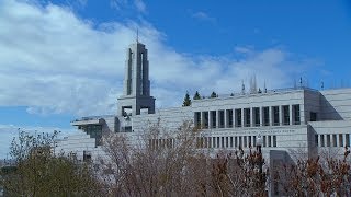 日曜午後の部会