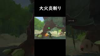 大火炎斬り 【ゼルダの伝説 ティアーズオブザキングダム】