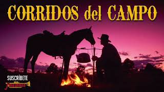 Corridos Del Campo - Terribles Del Norte / Ramon Ayala / Cadetes / Cachorros / Eliseo / Muchos Mas!