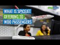 Special Offers Given By SpiceJet To Attract Customers