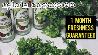 മല്ലിയില എങ്ങിനെ കേടുകൂടാതെ സൂക്ഷിക്കാം  | How To Store Coriander/Cilantro Leaves For Long Time