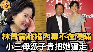 永別了林青霞！與邢李原離婚內幕不在隱瞞，小三母憑子貴把她逼走，現插足者身份遭起底原來是她【娛樂星鮮事】#林青霞