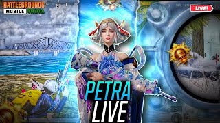 Bgmi Live Custom Rooms | Rp Giveaway | bgmi custom room live #petralive #pubgmobile #shortslive