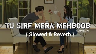 Tu Sirf Mera Mahboob { Slowed And Reverb Song } Ajnabee | Adnan Sami, Sunidhi Chauhan
