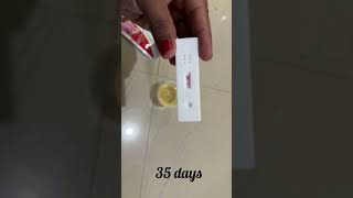 how to use pregnancy test kit #after how many days pregnancy canbe confirmed by urine test#pregakem