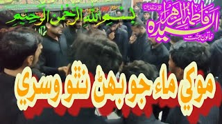 Nana Darbar me Rab Jane/new Noha janab e Zahra/3 Jamadul sani Azadari Ayam e Fatima/07/12/2024