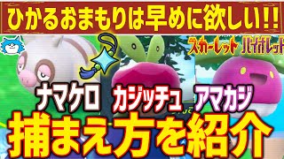 【ポケモンSV】ナマケロ、カジッチュ、アマカジの捕まえ方！図鑑が埋まりにくいポケモンたちをGETしてひかるおまもりを早く手に入れよう！【流星群の技マシンにも必要】