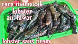 Cara memasak lobster air tawar // lobster saus tiram