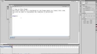 Flash Interactivity - Navigation