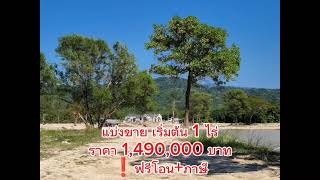 ขายที่ดินวิวเขา 360 องศา ต.สาริกา จ.นครนายก