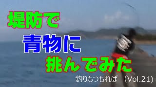 離島の堤防で青物に挑戦！(釣りつもVol.21)＃堤防＃青物＃泳がせ