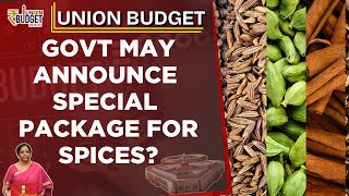 Budget 2025: Govt May Announce More Shops For Spices \u0026 Commodities Through Special Package? | News