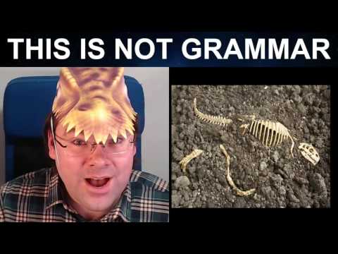 The Company is a Dinosaur Insults in English Technology Language The Company is a Dinosaur Insults in English Technology Language
