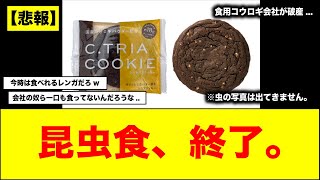 【悲報】昆虫食の未来が絶たれた...食用コウロギの会社が破産申請...