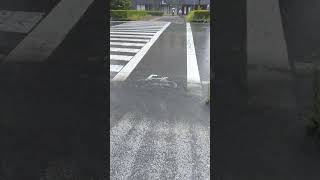 横断歩道でびしょ濡れになれる理由