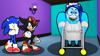 SONIC AND SHADOW ESCAPE INSIDE OUT 2 GRANDMA ESCAPE IN ROBLOX