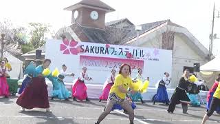 YOSAKOIフェスタin桜川'24 わいわい連 - しゃきっとこーん