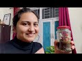 diy terrarium plant love letter अपने पौधों से प्यार जताने का सबसे खास तरीका 🌿💌